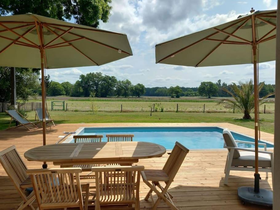 Maison Neuve Avec Piscine Chauffee, 4 Kms De Contis Plage سان جوليان-أون-بورن المظهر الخارجي الصورة